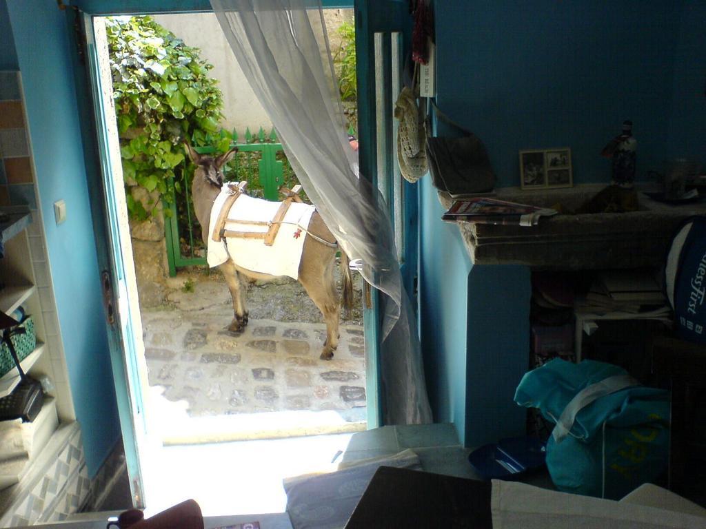 Blue Bench Krk Apartment Кърк Стая снимка